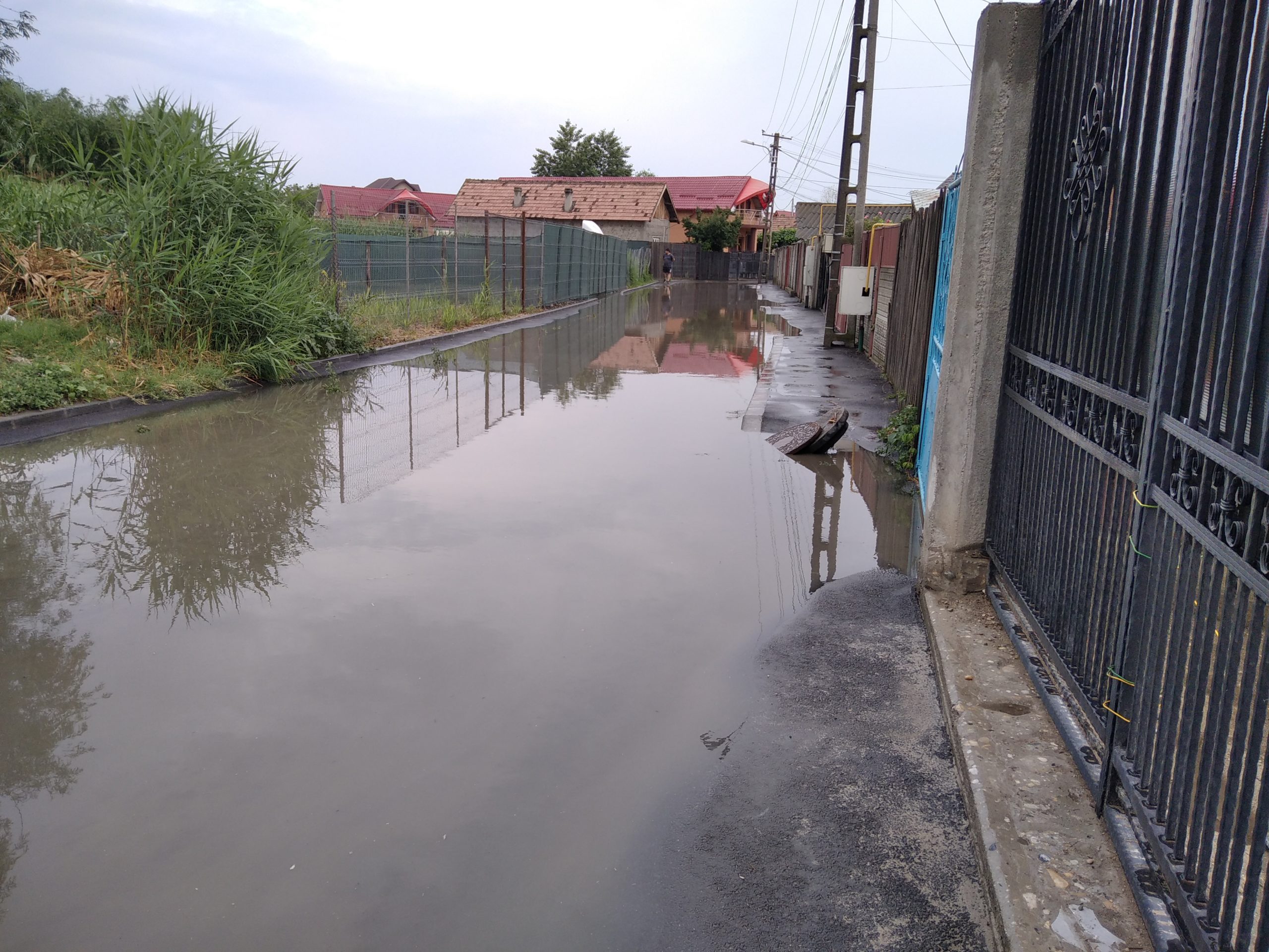 Canalizarea s-a înfundat, strada Homer s-a inundat – GAZETA de SUD