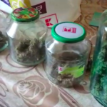 VIDEO Cannabis la borcan la un handbalist francez al CSM Făgăraș – Biz Brasov