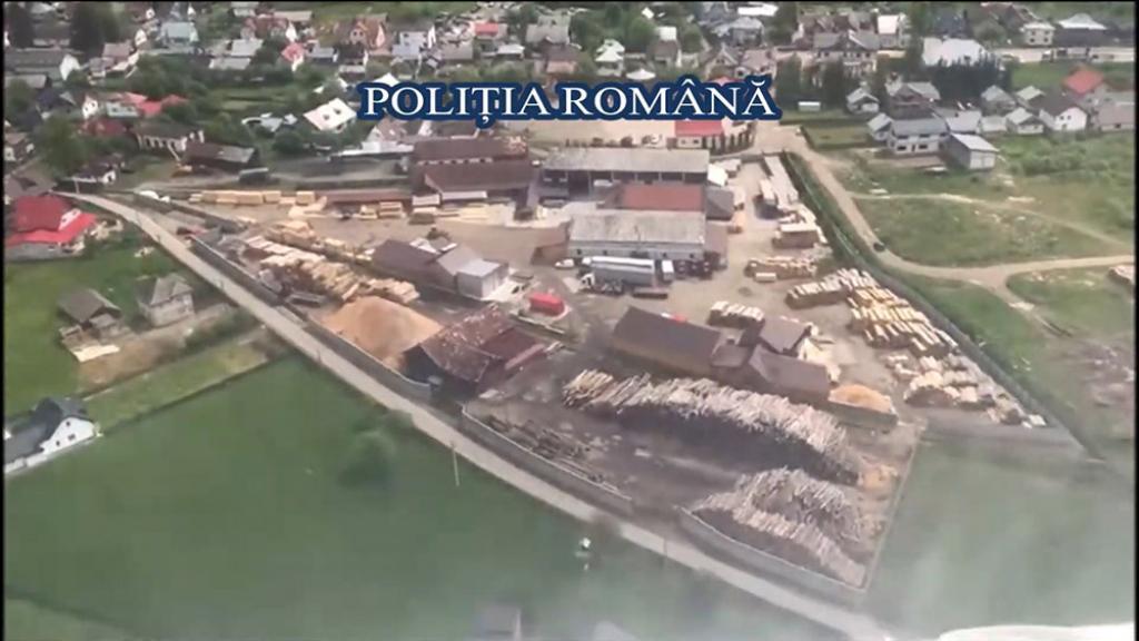 Lemn in valoare de aproape 1 milion de lei confiscat in Suceava in urma actiunii coordonate de la Bucuresti