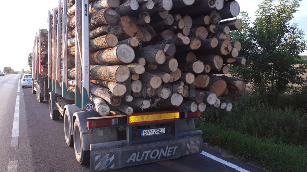 Transportatorii de lemne isi bat joc de sosele si sfideaza autoritatile de control