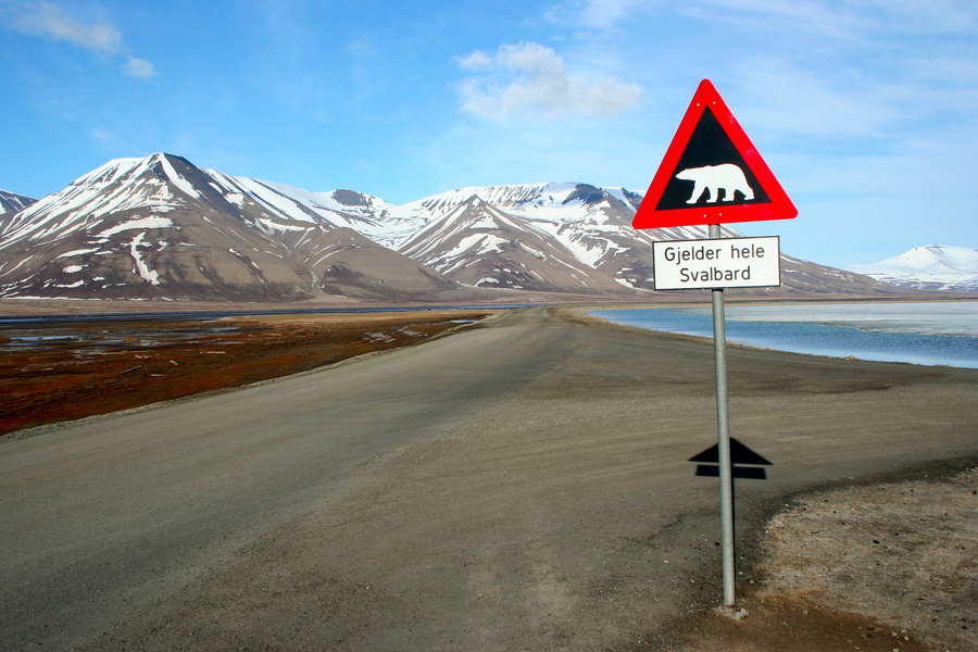 Record absolut de căldură în arhipelagul arctic Svalbard