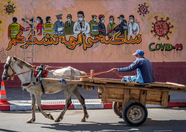 Turismul din Maroc, devastat de criza Covid-19. Cu buzunarul gol, oamenii sunt nevoiţi să-şi vândă caii, principala sursă de venit