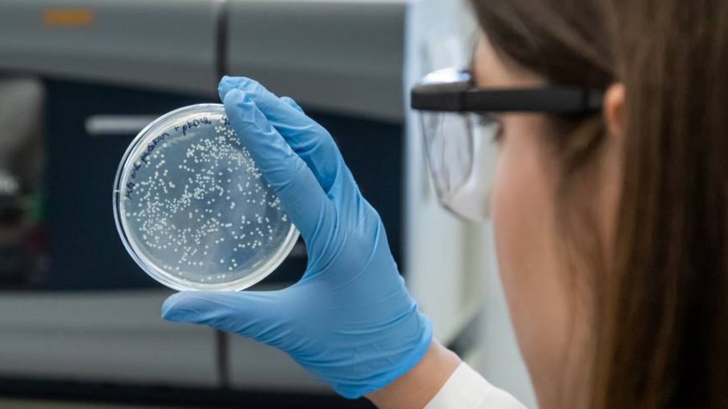 Aceste descoperiri recente ne arată cum ne vor afecta bacteriile în viitor