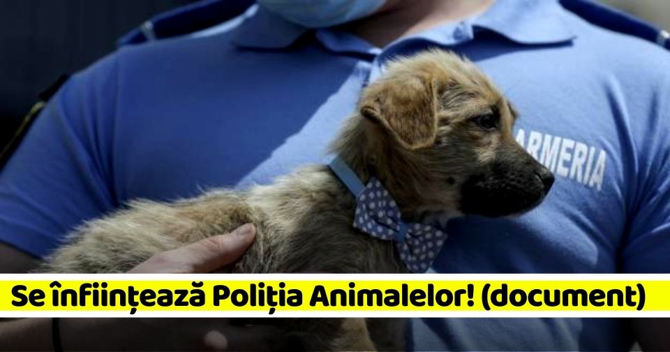 Se înființează Poliția Animalelor! Cum arată legea (document)