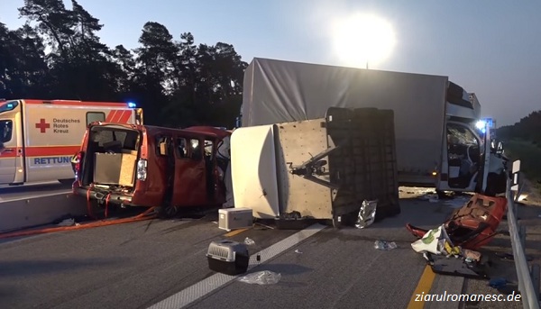 Germania: Un pui de leu a scăpat ca prin minune dintr-un accident produs între un microbuz și camionul unui român