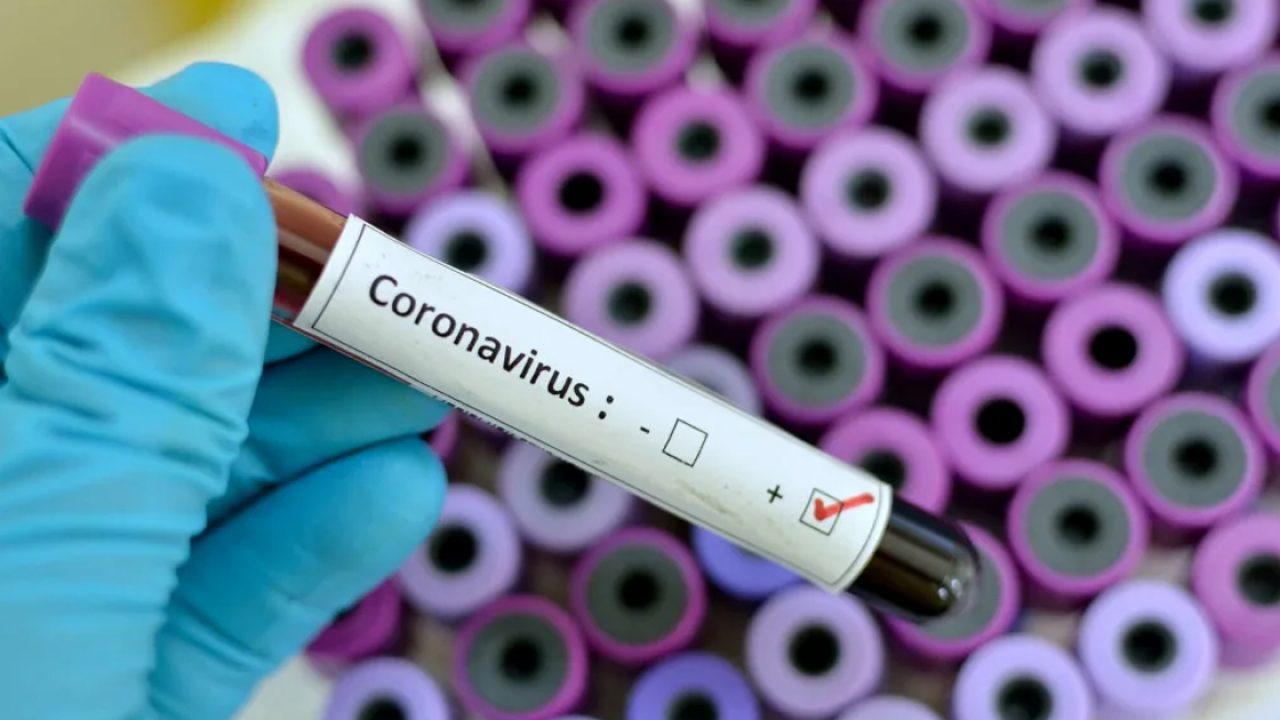 3 cazuri noi de coronavirus în județul Gorj – GAZETA de SUD