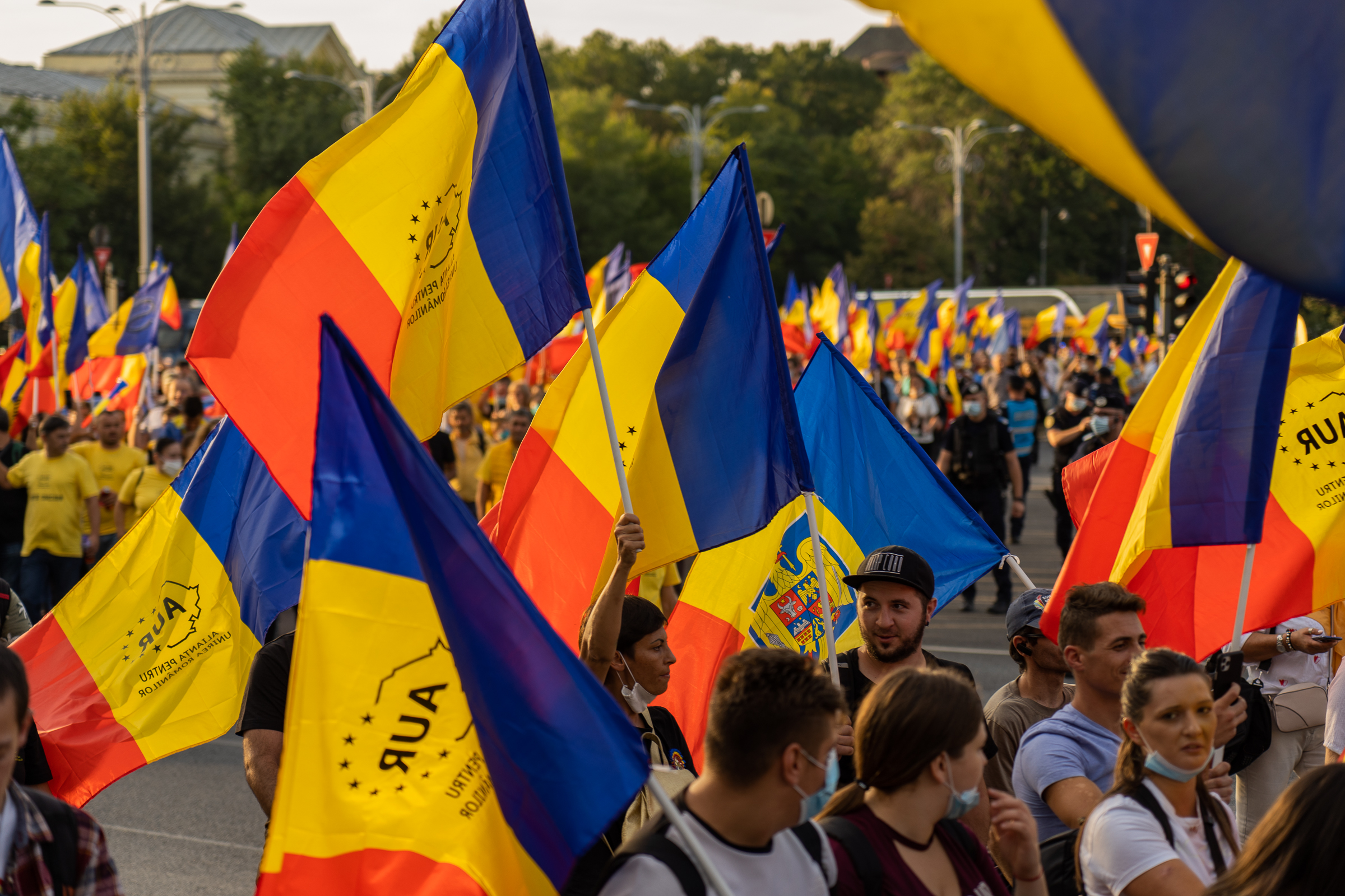 Diana Șoșoacă (AUR): Vor să frauze alegerile și nu permit delegați AUR în secții