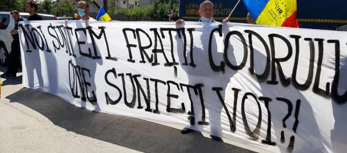 Partidul AUR cere viitorului Guvern să intervină de urgență pentru oprirea defrișărilor ilegale: Codrul e frate cu românul, nu cu securea