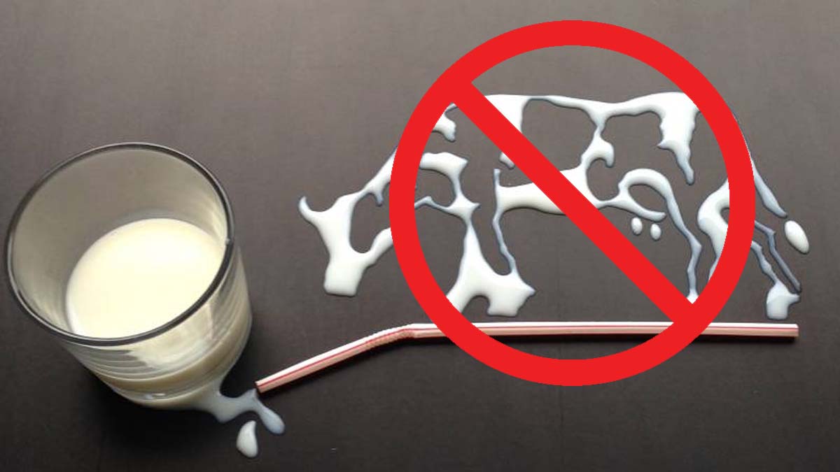 Laptele artificial făcut în laborator e identic cu cel adevărat. Cum a fost posibil?