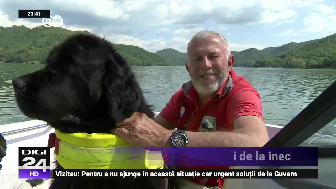 Ettore este labradorul care salvează oamenii de la înec