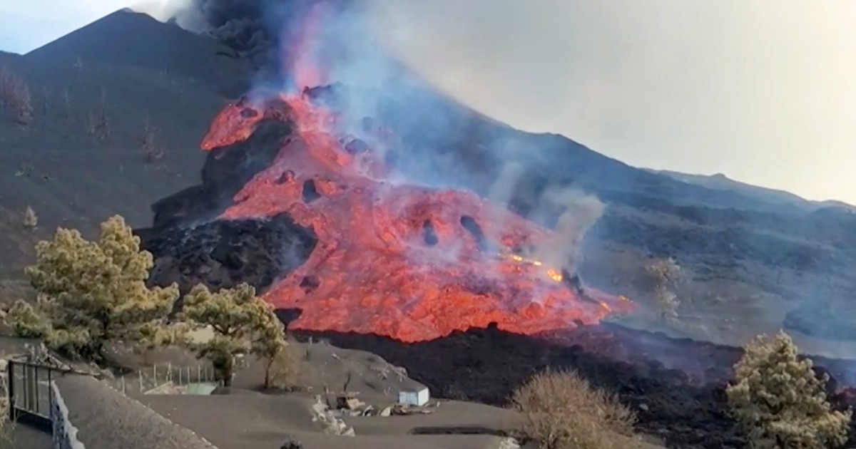 Câinii rămaşi blocaţi între râurile de lavă de pe insula La Palma au dispărut în mod misterios