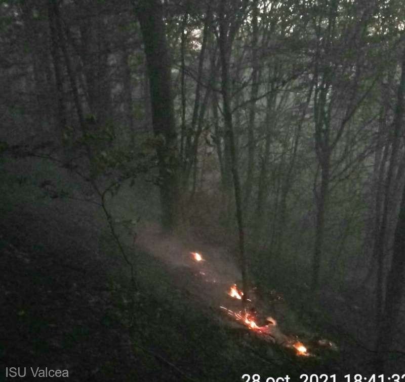 Incendiu într-o pădure de fag din Horezu – GAZETA de SUD
