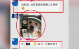 Un chinez a fost arestat pentru o memă cu un câine care poartă caschetă de polițist