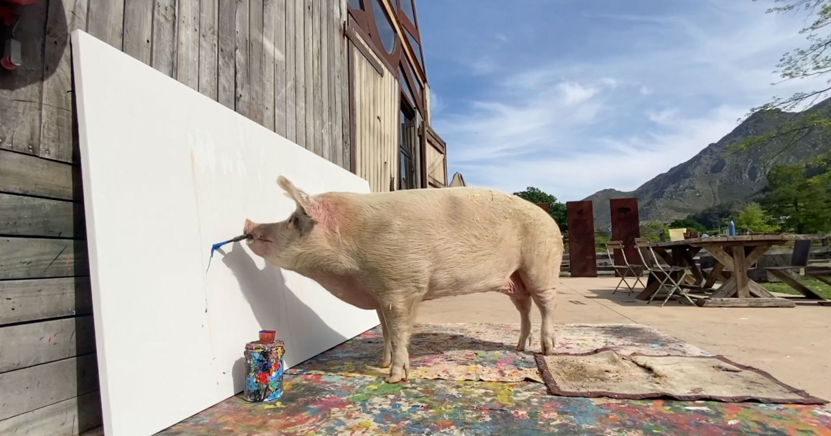Un tablou pictat de un porc s-a vândut cu 20.000 de lire sterline