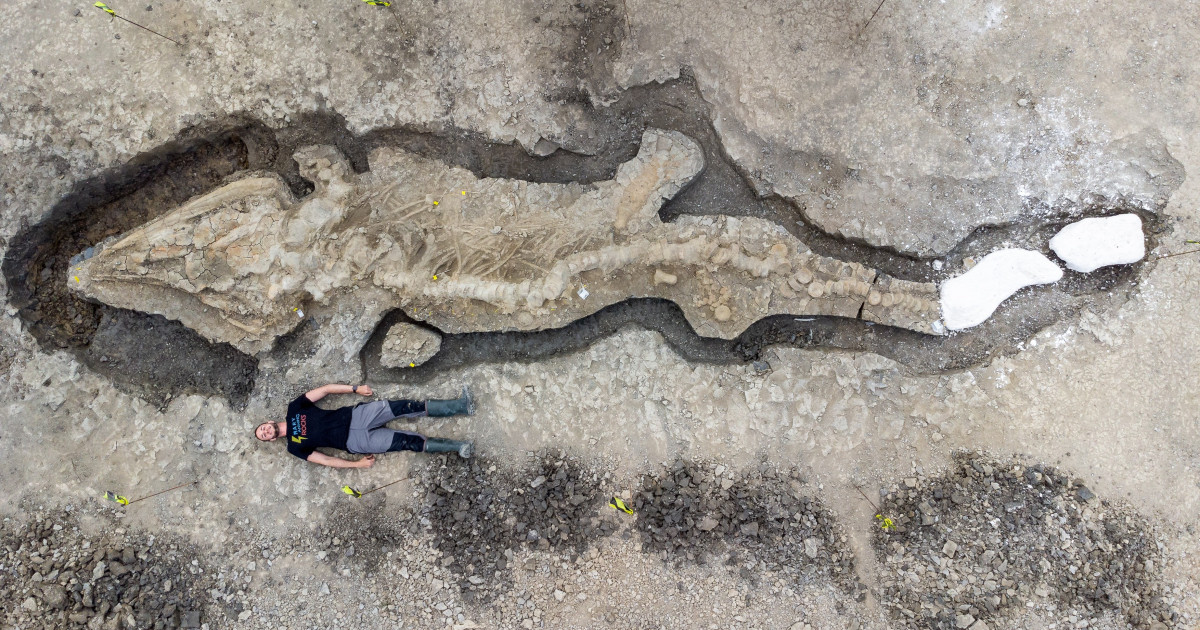„Monstrul apelor”, descoperit pe fundul unui lac din Marea Britanie. Creatura avea 10 metri lungime