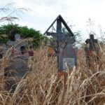 Primăria Craiova cumpără teren pentru extinderea Cimitirului Dorobănție –