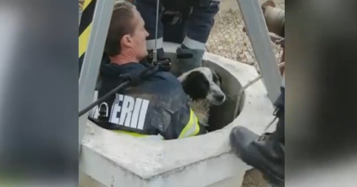 VIDEO. Câine căzut într-o fântână la 27 de metri adâncime, salvat de pompierii prahoveni