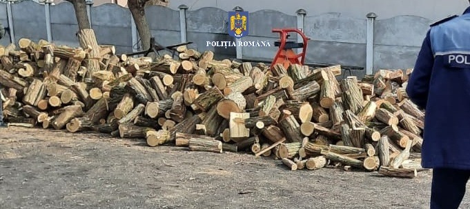 Olt: Polițiștii au confiscat aproape 40 metri cubi de material lemnos – GAZETA de SUD