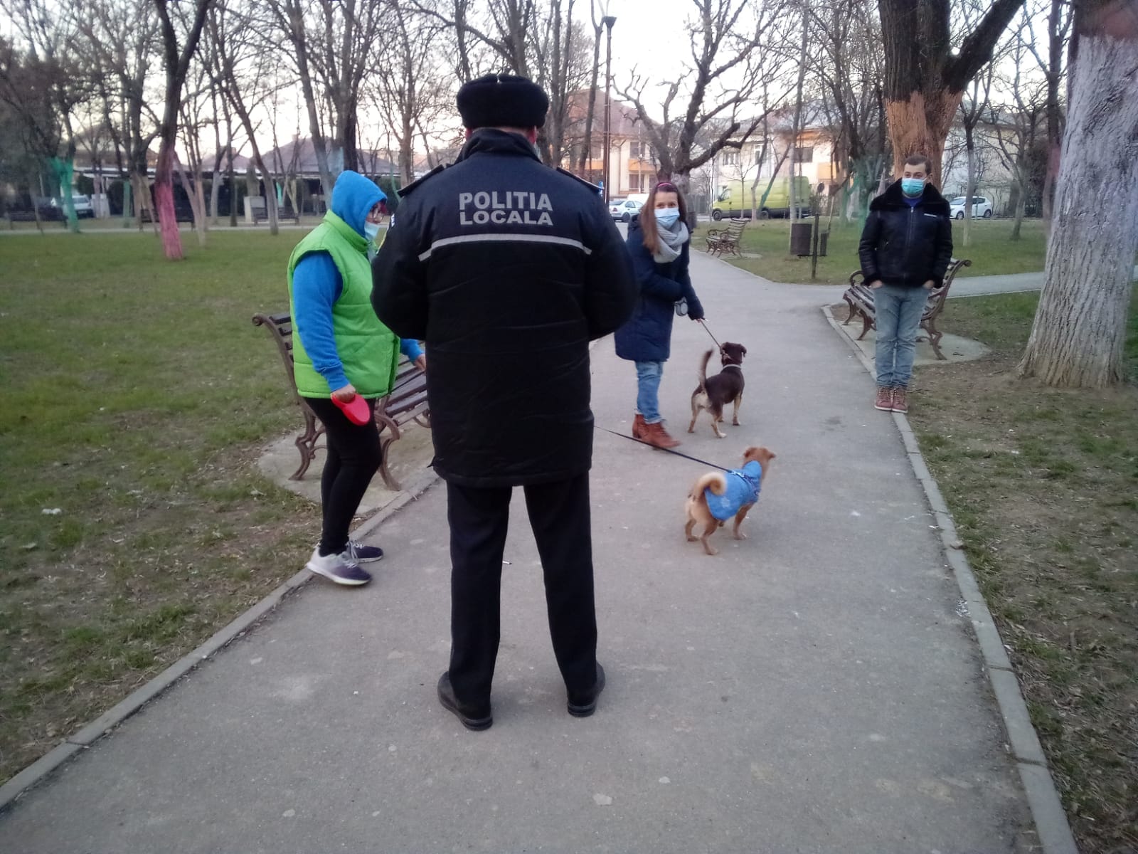 Craioveni amendați pentru că nu își țin câinii în lesă – GAZETA de SUD